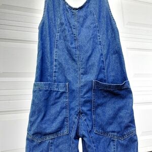 Stylish Blue Women's Jeans Overalls